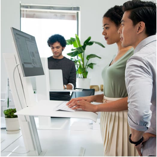 Sit Stand & Adjustable Workstation